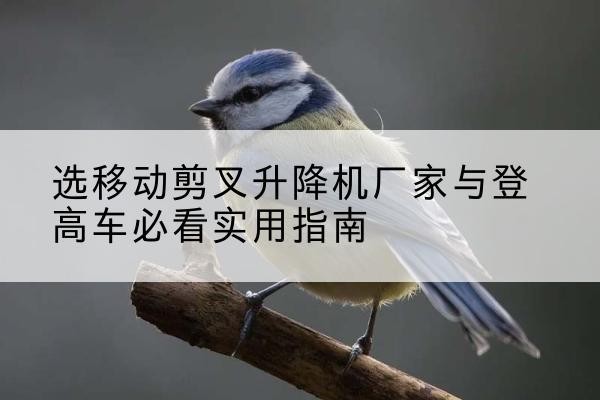 稷山电动升降机厂家-选移动剪叉升降机厂家与登高车必看实用指南