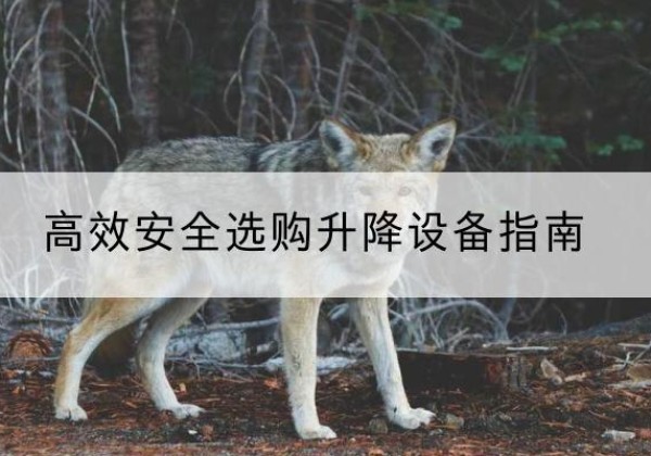 稷山升降货梯厂家推荐-*安全选购升降设备指南
